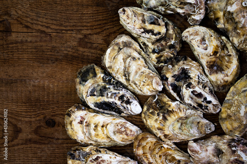 Shells of fresh wild oysters on a wooden background. Food Background. Top view.