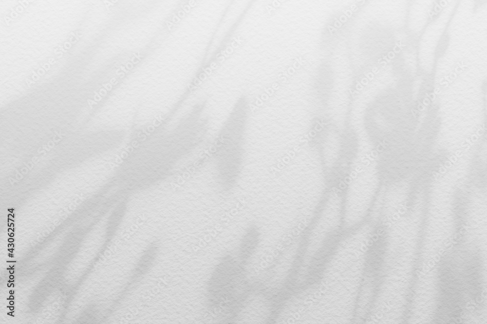 Obraz premium Flower shadows on light white gray color wall.