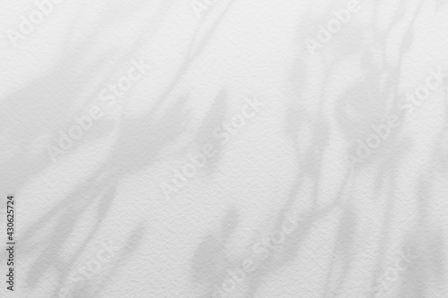 Wallpaper Mural Flower shadows on light white gray color wall. Torontodigital.ca