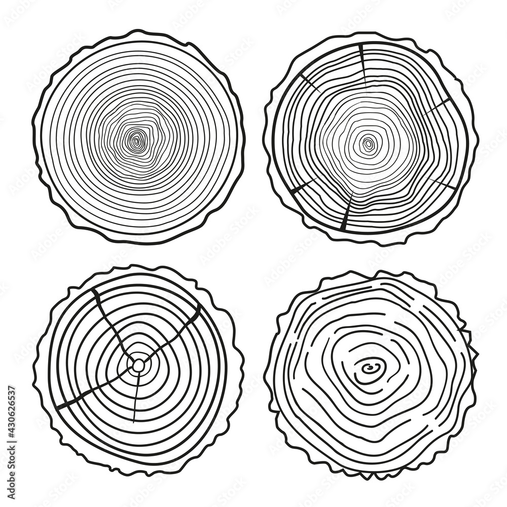 Tree rings. Set of cross section of the tree. Set of tree rings on ...