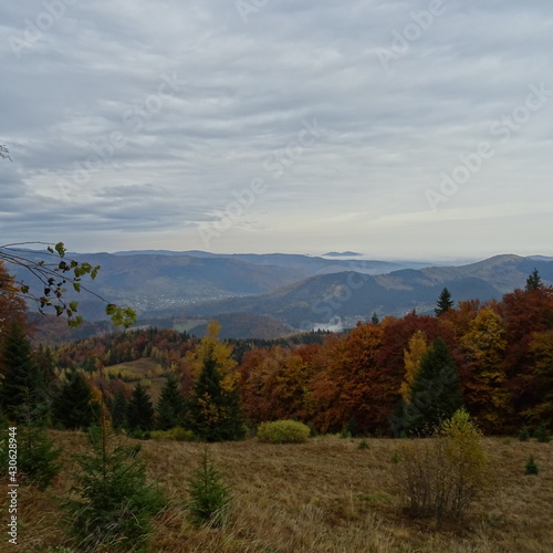 Autumn mountain forest