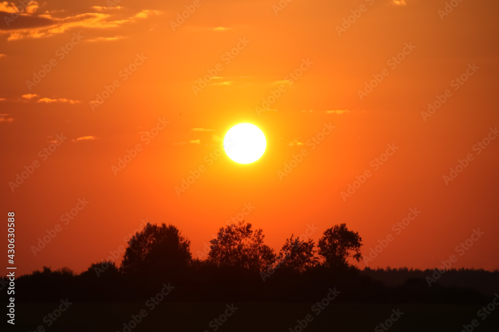 Fototapeta premium Landscape sun at sunset in the clear sky on the horizon silhouette of trees in honor of the day of the sun on May 3