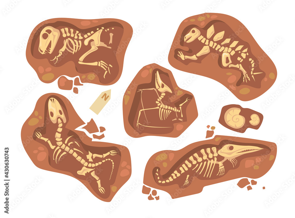 Cartoon set of different dinosaur fossils. Flat vector illustration