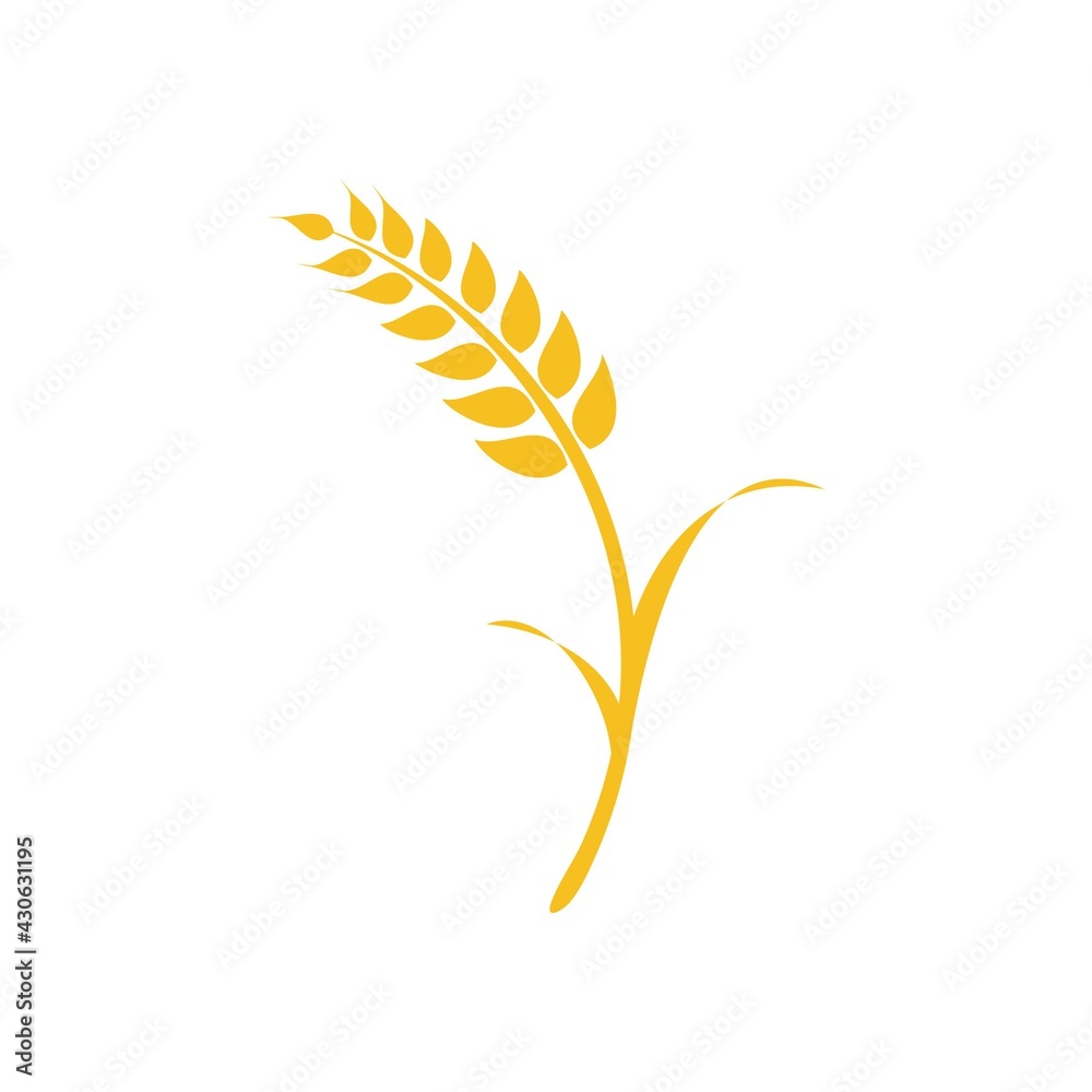 Agriculture wheat Logo vector icon design Agriculture wheat Logo vector icon design