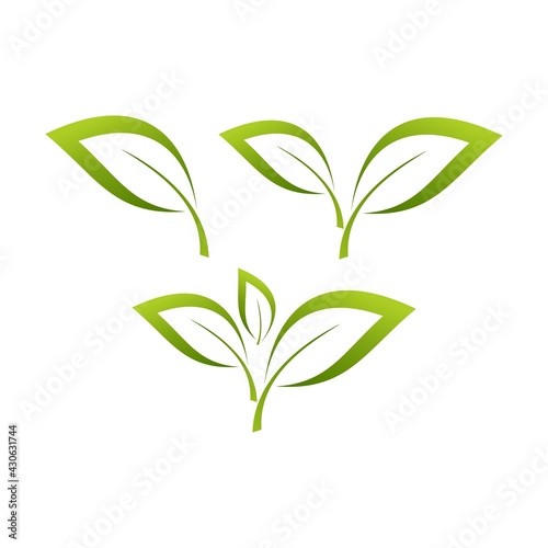 green leaf icons design template vector