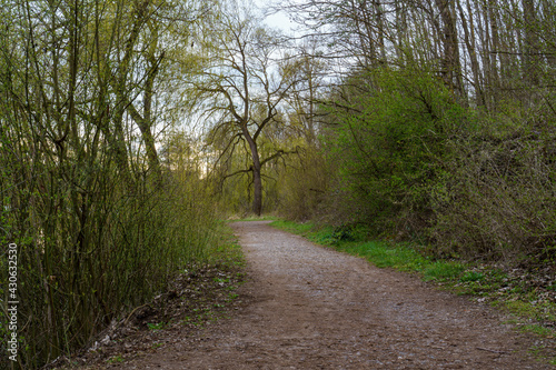 Schotterweg entlang von Sträuchern und Bäumen hinzu einer Trauerweide am Frühlingsanfang