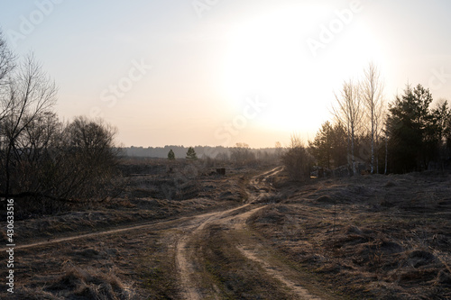 Rural dirt road in a field in early spring in the rays of the rising sun against the background of bare trees. Spring landscape