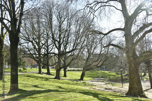 Le parc Huart Hamoir à contre jour sous un soleil de printemps à Schaerbeek