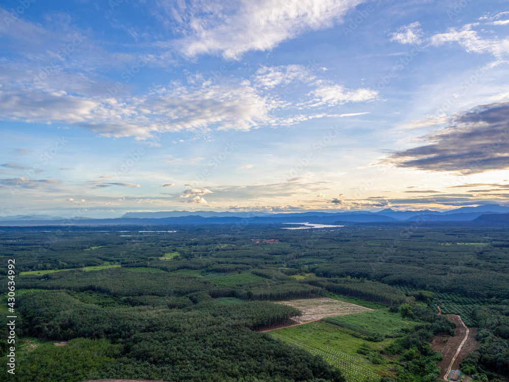 Beautiful top of view of the green forest, Mekong river, and blue sky in Phu Sing mountain Country park in Bungkan province, Thailand.