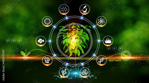  Botany Icon Concept Green environment with Center and spoke Concept ,Plant on center and rotating Icons