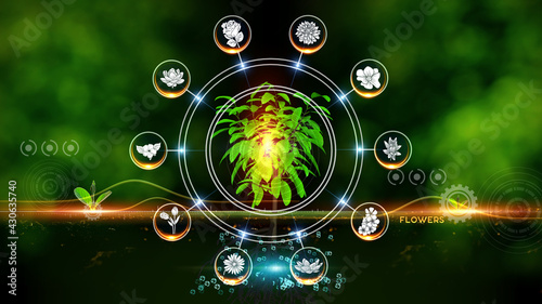  Flower Icon Concept Green environment with Center and spoke Concept ,Plant on center and rotating Icons