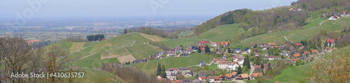 Panoramablick auf das Weindorf Sasbachwalden in der Ortenau mit Rheinebene