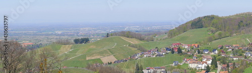 Blick auf das Weindorf Sasbachwalden in der Ortenau mit Rheinebene