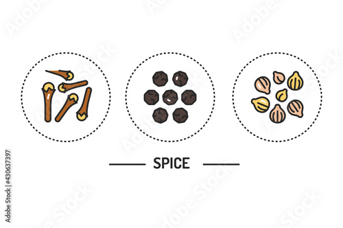 Spices color line icons concept. Vector illustration