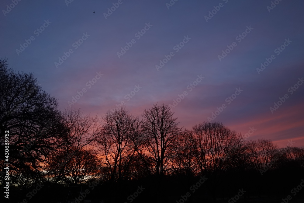 orange and red sunrise with silhouetted tree line in the distance with a blue sky and sun lit clouds