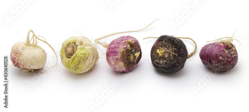 Fotografie peruvian superfood maca isolated on white background