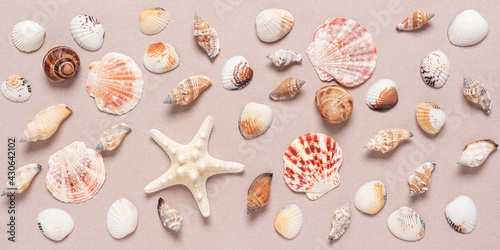 Collection of various seashells and starfish on beige paper background. Summer beach banner. Top view, flat lay.