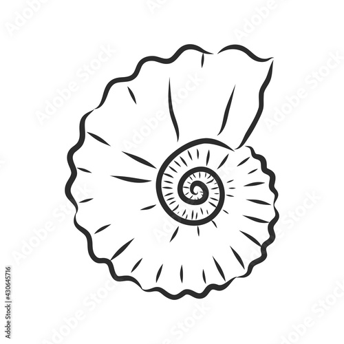 Hand drawn set of various seashell. clam shell, vector sketch