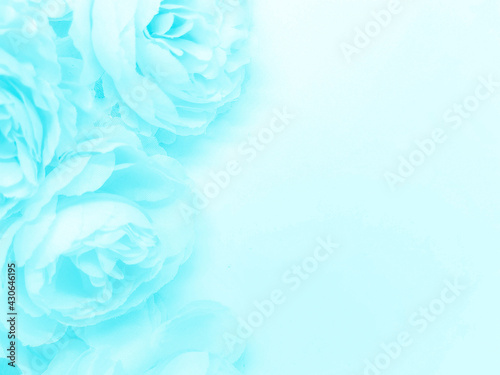 Beautiful abstract light blue flowers on white background, white flower frame, blue leaves texture, gray background, valentines day, love theme, blue gradient texture