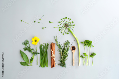 Salad herb garden concept