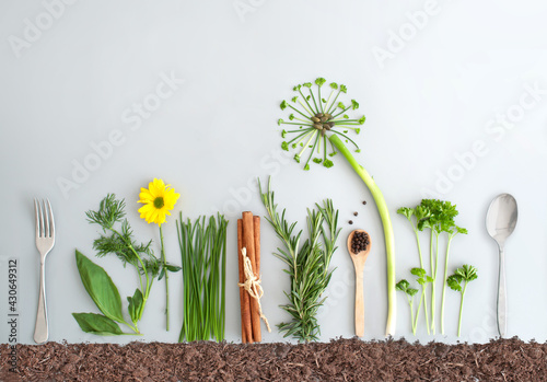 Summer herb salad garden co...
