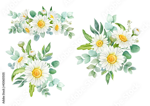 Botanical set with watercolor daisies