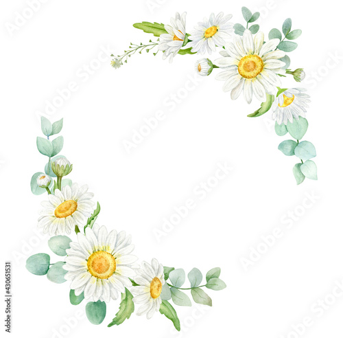 botanical watercolor wreath with chamomile