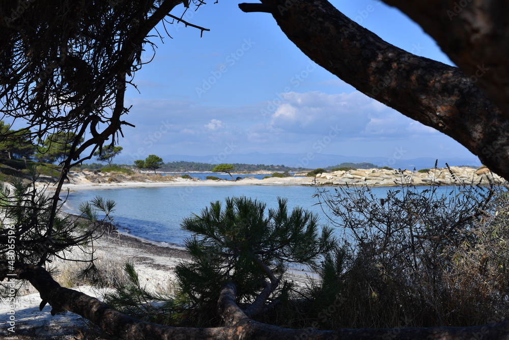 Fototapeta premium dreamlife watersea