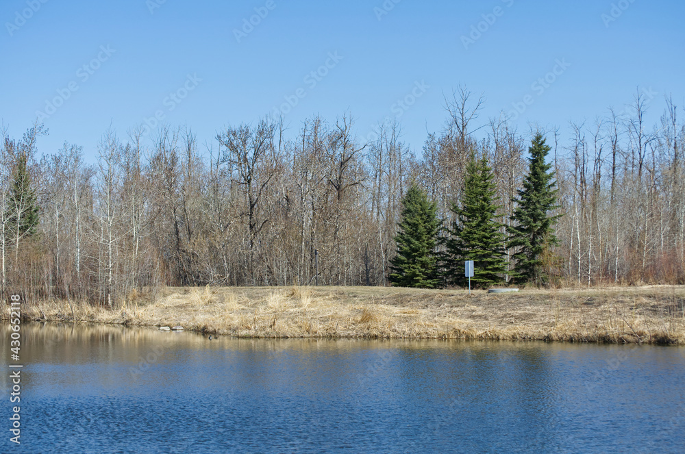 Obraz premium Pylypow during the Spring Season