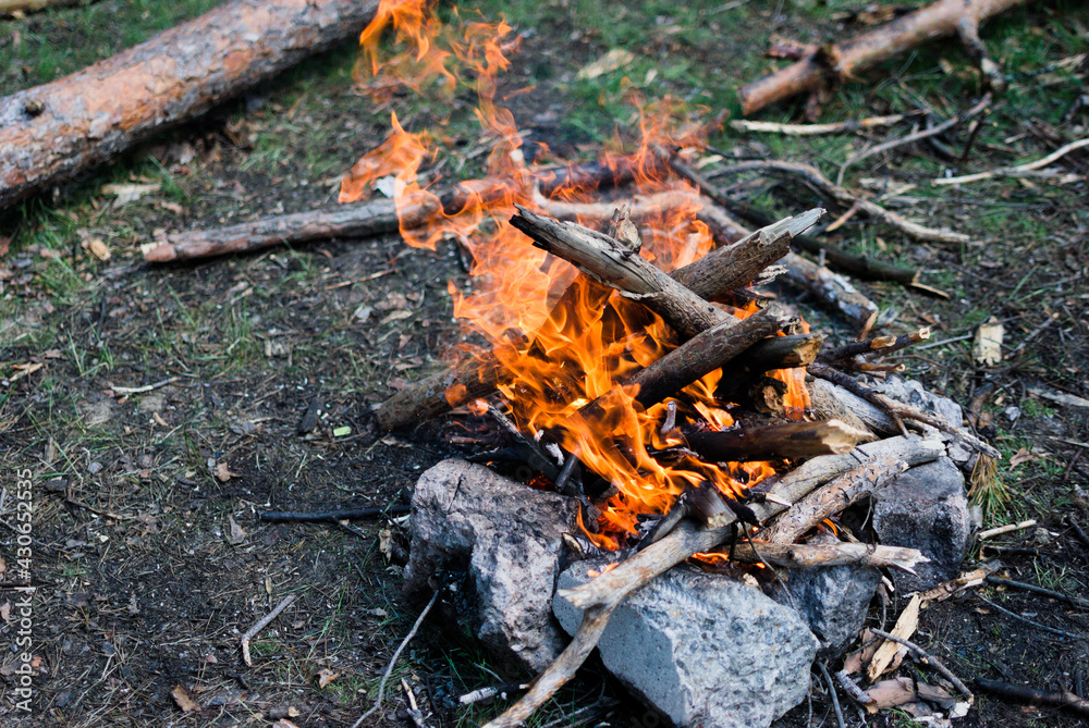 A forest fire and a bright, strong flame blown away by the wind A forest fire and a bright, strong flame blown away by the wind