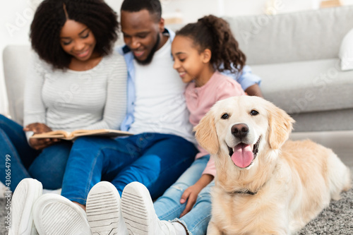 Young afro family reading book with dog at home