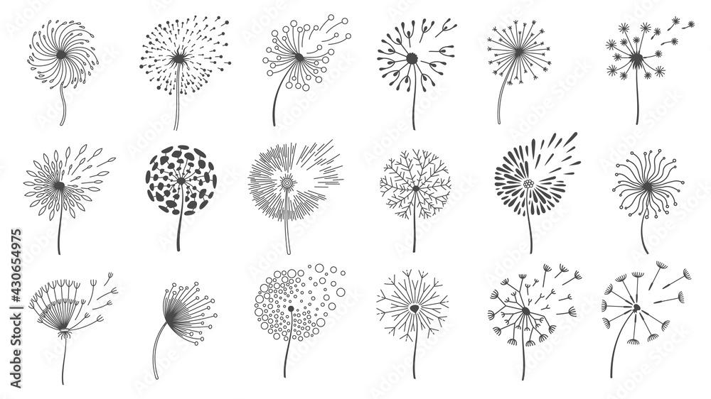 Fototapeta Blowing dandelion seeds. Silhouettes of fluffy wish flowers, spring blossom dandelions blown by wind. Nature floral logo design vector set