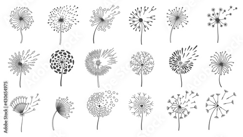 Blowing dandelion seeds. Silhouettes of fluffy wish flowers, spring blossom dandelions blown by wind. Nature floral logo design vector set photo