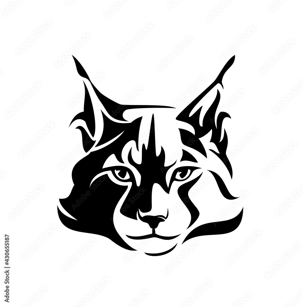 Fototapeta premium maine coon cat looking straight forward - bobcat en face head black and white vector design