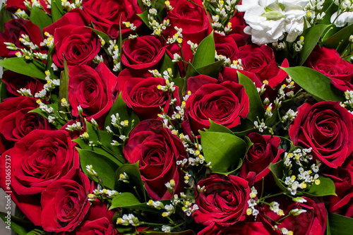 bouquet of red roses