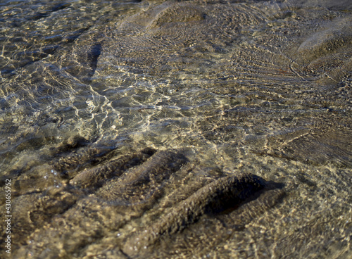 dreamlife watersea