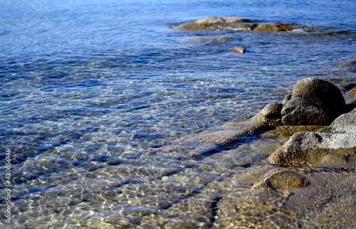 dreamlife watersea