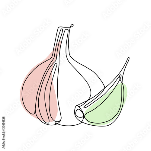 Food spicy linear garlic isolated vegetable in white background. Line art graphic element  outline logo and branding design templates in one line minimal style.