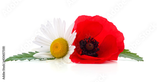 Red poppy flower and chamomile.