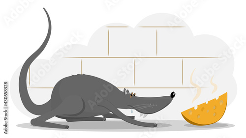 Rat and cheese. Vector illustration of a rat that sneaks up on cheese. Illustration of a rat for animation. All the details are on separate layers with names. Editable strokes.