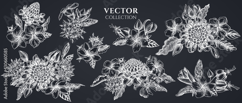 Flower bouquet of chalk plumeria, allamanda, clerodendrum, champak, etlingera, ixora