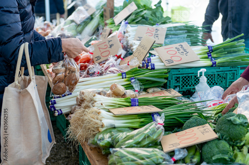 Bild auf Leinwand マーケットで野菜を買う女性　朝市
