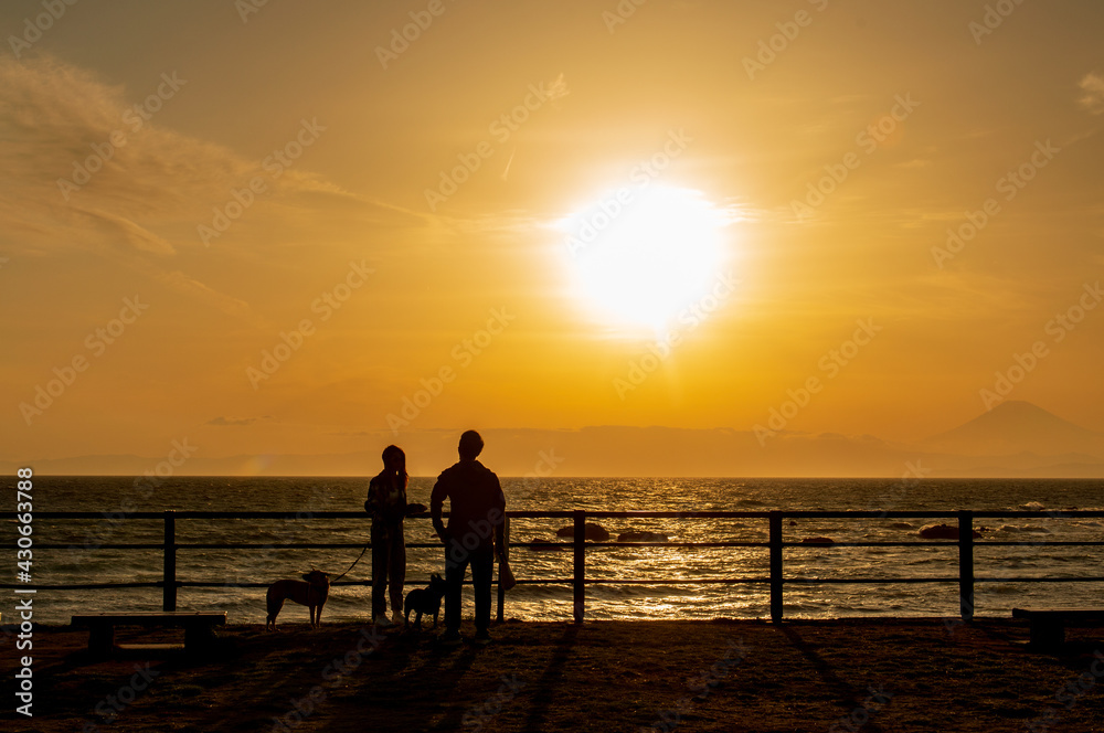 Fototapeta premium 葉山の海の夕景 夕日が沈む海と富士山を眺める犬を連れたカップルのシルエット 神奈川県立葉山公園