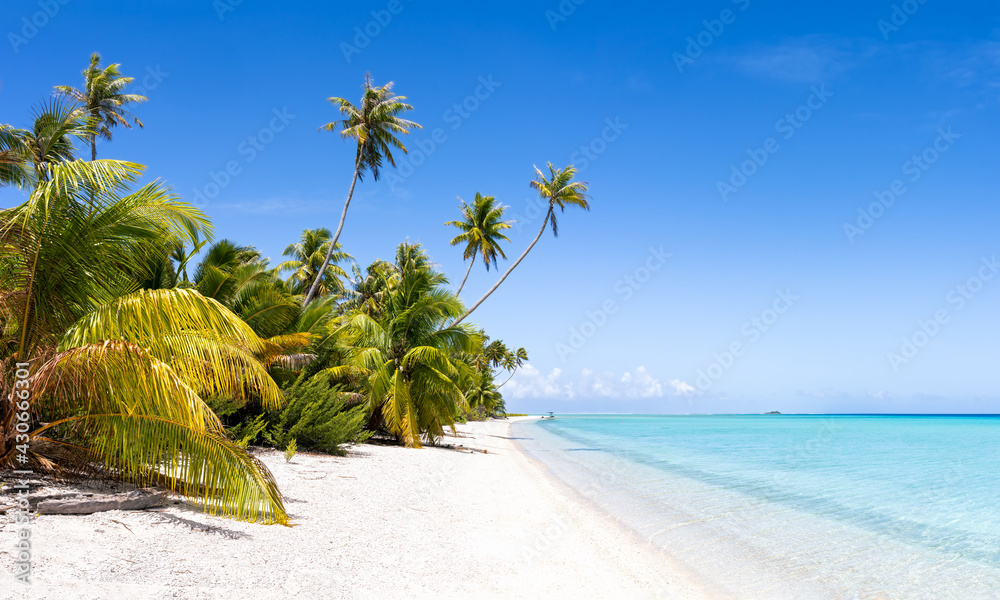 Summer vacation on a tropical beach with palm trees