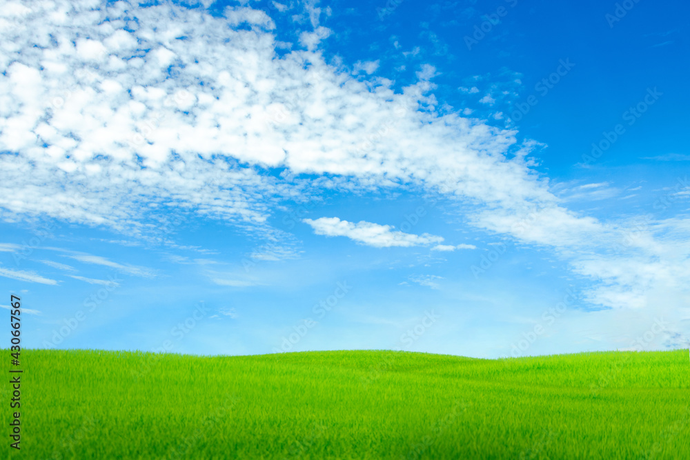 Landscape view of blue sky and high clouds (Cirrus) with grass in the foreground