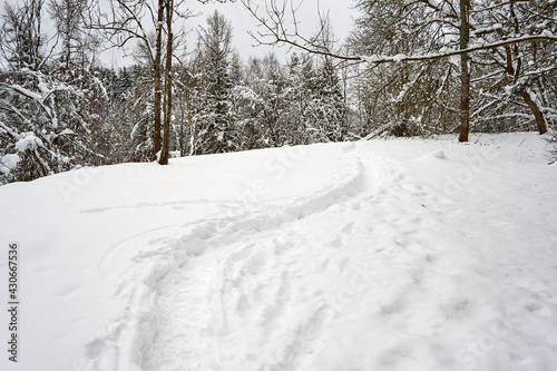 Hiking trail after heavy snowfall in the forest 