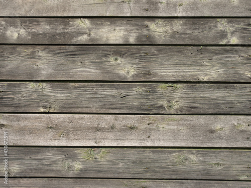 Wallpaper Mural Old natural wooden texture shabby background. nature concept Torontodigital.ca