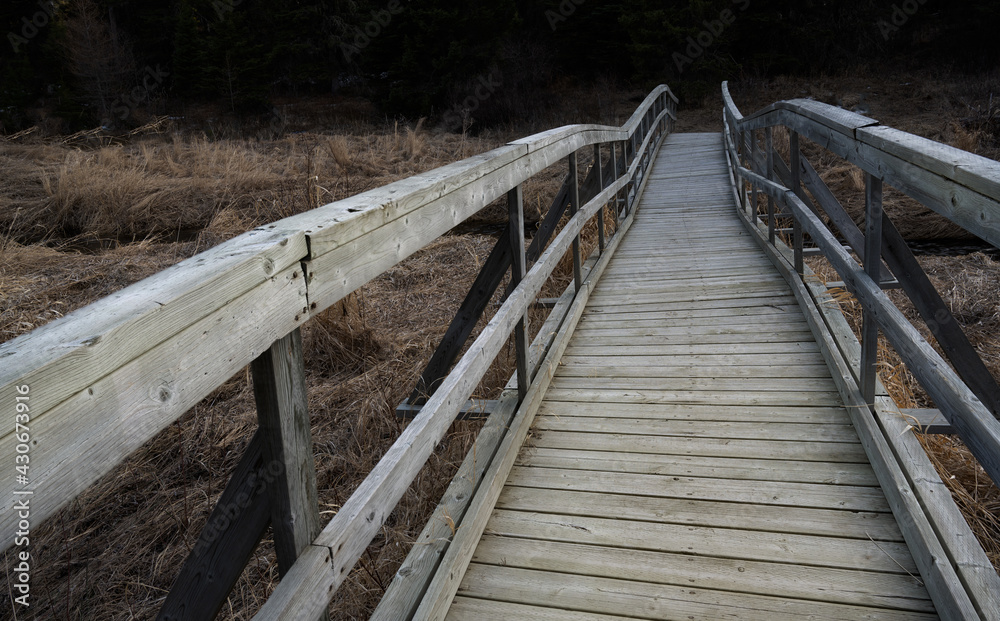 Obraz premium Twisted old wooden bridge crossing an area of dead grass and leading into a dark forest. In muted colors. 