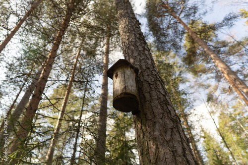 bird house on tree