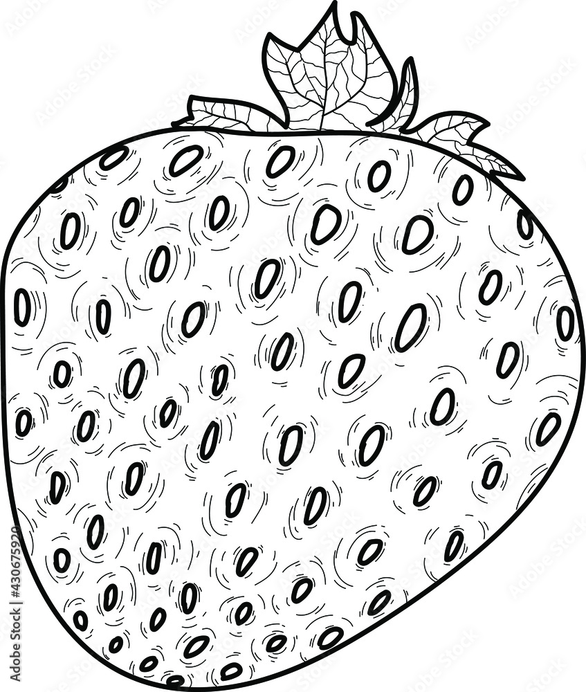 Doodle cute strawberry isolated line. Hand drawn vector illustration coloring. Sketch for a tattoo. Doodle cute strawberry isolated line. Hand drawn vector illustration coloring. Sketch for a tattoo.